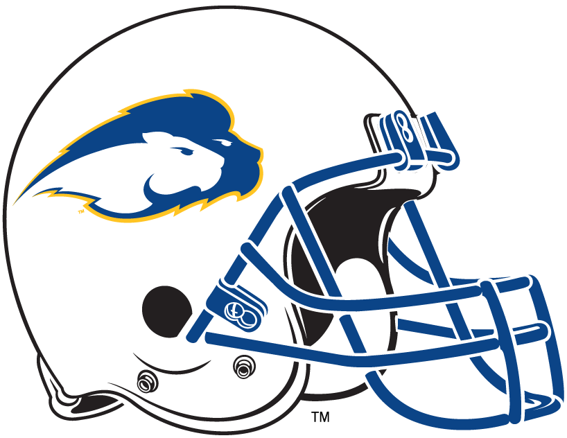 Hofstra Pride 2005-2008 Helmet Logo diy DTF decal sticker